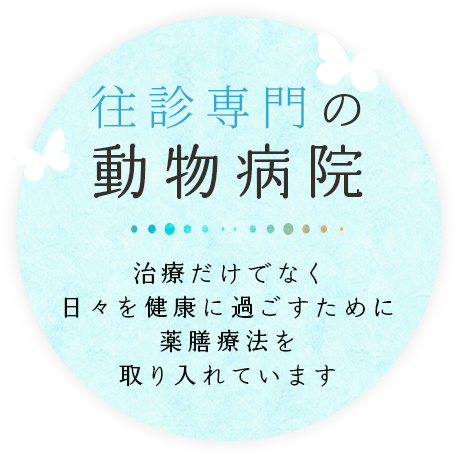 往診専門の動物病院 治療だけでなく日々の健康に過ごすため薬膳療法を取り入れています