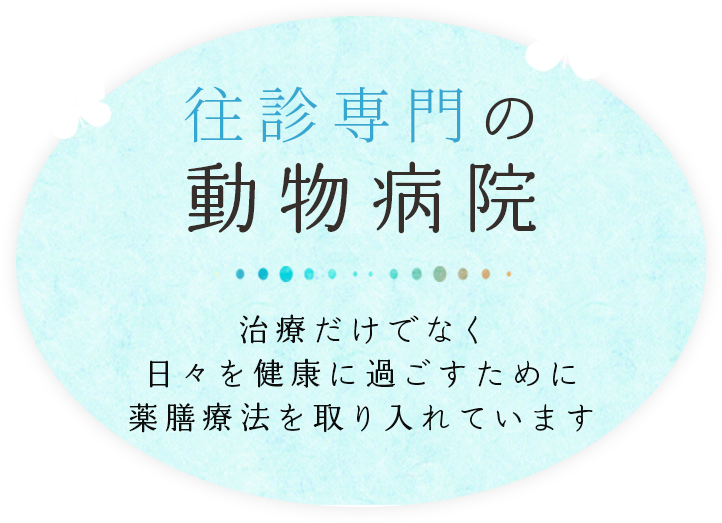 往診専門の動物病院 治療だけでなく日々の健康に過ごすため薬膳療法を取り入れています